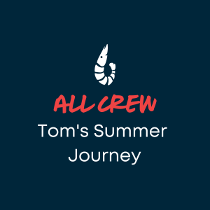 Tom's Summer Journey